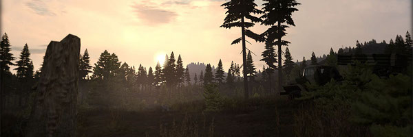 caribou_dawn_pre_s