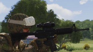 acog sight